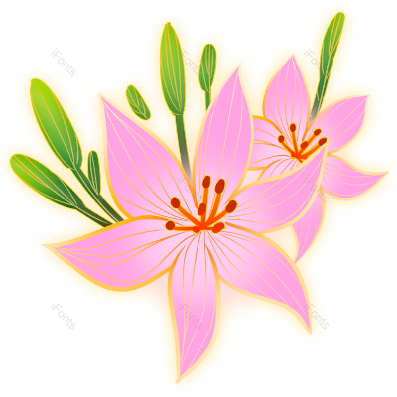 中国风图片,立体元素,百合PNG,立春免抠素材